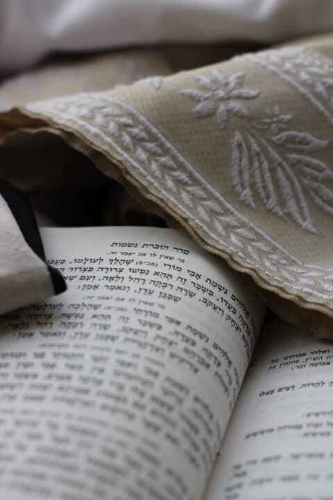 torah-480x720